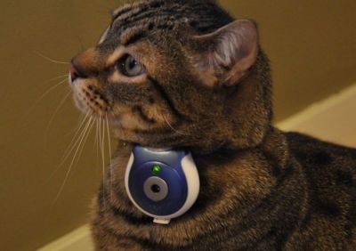 Uncle Milton Pet&rsquo;s Eye sau spionul din viata animalului dumneavoastra