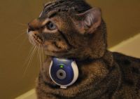 Uncle Milton Pet&rsquo;s Eye sau spionul din viata animalului dumneavoastra
