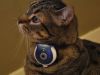 Uncle Milton Pet&rsquo;s Eye sau spionul din viata animalului dumneavoastra