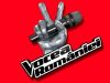 Inscrie-te la cel mai tare concurs de cantat: "Vocea Romaniei"