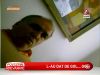 Profesor universitar filmat in timp ce ii facea propuneri indecente unei studente - VIDEO