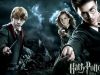 Top 10 lucruri gresite pe care copiii le invata din "Harry Potter"