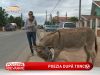 Andreea Tonciu 'serveste' injuraturi pe plaja - VIDEO