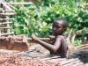 Pretul uman al ciocolatei - Cati copii sunt exploatati pe plantatiile de cacao