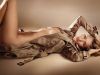 Rosie Huntington-Whiteley, actrita din Transformers, are acelasi efect ca si drogurile asupra barbatilor