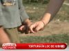 Istoria se repeta: Doi copii au fost torturati de asistenta maternala care ii avea in "grija" - VIDEO