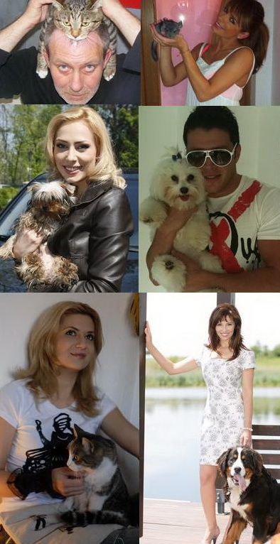 Papagali, chinchilla, pisici si caini - Toate se regasesc in ograda stiristilor de la ProTV