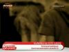 "Mama avea cancer la san in ultima faza, iar tata o lovea doar in san. A murit nevinovata, la numai 40 de ani!" VIDEO