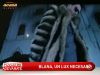 Afla ce vedete etaleaza unul dintre cele mai cautate articole vestimentare! VIDEO