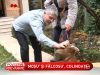 Roxana Ciuhulescu i-a colindat pe Ioan Andone si pe Leonard Doroftei - VIDEO
