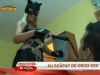 Cum s-au descurcat reginele porno in 2011 - VIDEO