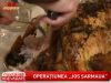 Vezi la ce solutii apeleaza vedetele pentru a reveni la silueta de dinainte de sarbatori - VIDEO
