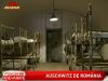 Povestea unui Auschwitz romanesc - VIDEO