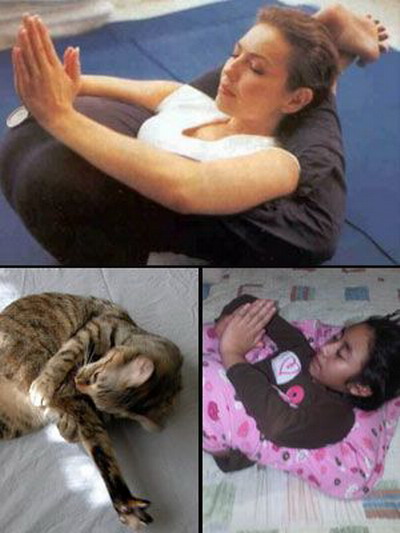 Thalia a primit de la fani o multime de poze in care e imitata pozitia de yoga in care s-a pozat ea recent - FOTO