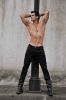 David Zepeda