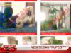 Povestea "divelor de carton" autohtone - VIDEO