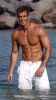 William Levy