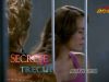 "Secrete din trecut", luni, 19 martie, 17.30