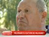 Vedetele autohtone si datoriile la stat. Afla ce persoane publice  au probleme platile - VIDEO