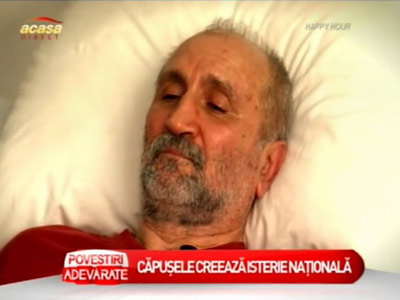 Muscatura de capusa creeaza isterie nationala! Afla ce zone de pe corp sunt usor accesibile capuselor - VIDEO