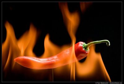Care este CEL MAI PACATOS INGREDIENT. Si totusi, niciun bucatar nu se fereste de el :)