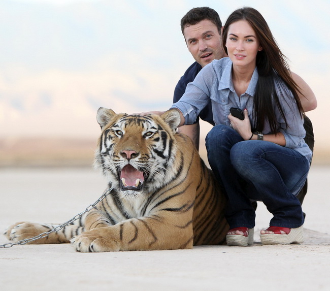 Megan Fox s-a pozat cu tigrii GALERIE FOTO!