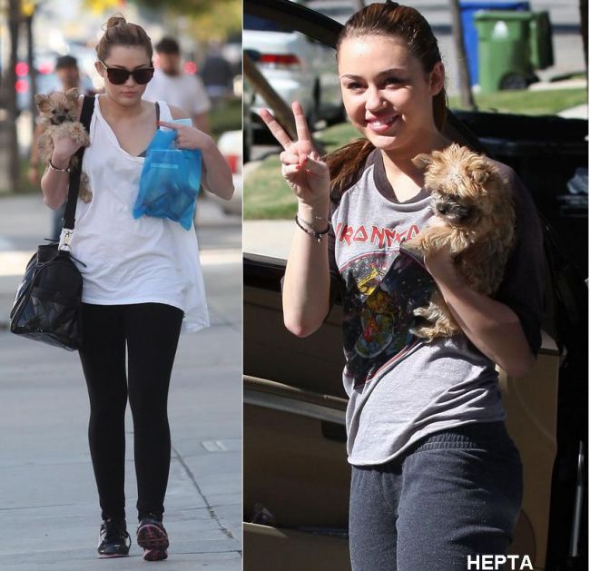 Cititorii au remarcat - Miley Cyrus are tricou cu Iron Maiden:  Vine apocalipsa!