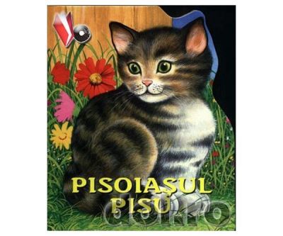 (P) Pisoiasul Pisu, Necunoscut