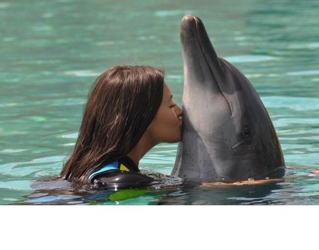 Antonia a inotat cu delfinii in Dubai
