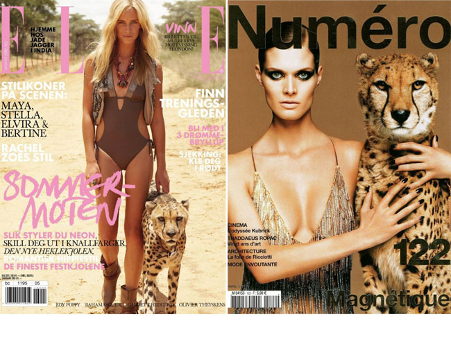 Animalele, noile accesorii must-have. Modelele pozeaza cu tigri, lei, serpi sau... gaini. Interesant sau deplasat?